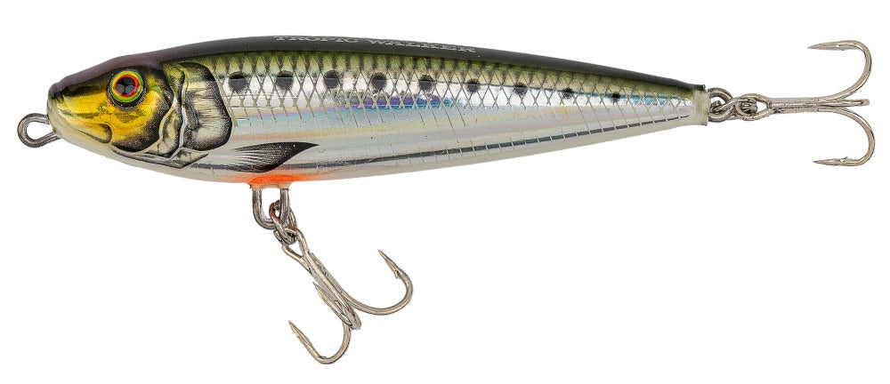 W-1 Tropic Stickbait